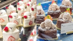 極上のスイーツ 京都府北大路駅近くにあるお店 ジュイサンス の くまボトル いちご狩り フルーティーソーダ